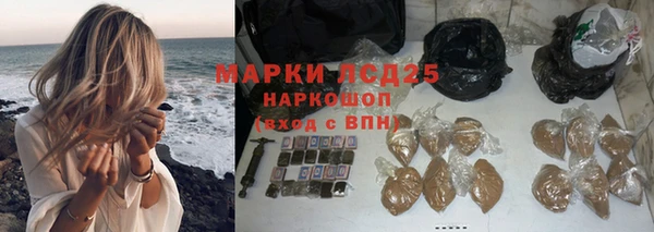 спиды Заводоуковск